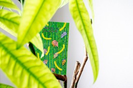 postcard wildeburg in plant