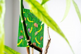 postcard wildeburg in plant